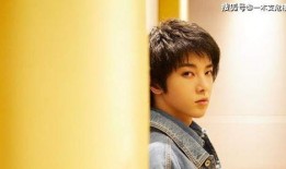 八卦爆料华晨宇最新消息,揭秘最新幕后故事与精彩瞬间